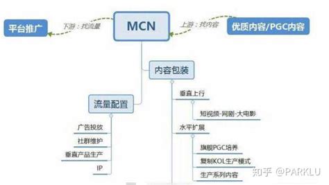 MCN公司组织架构图