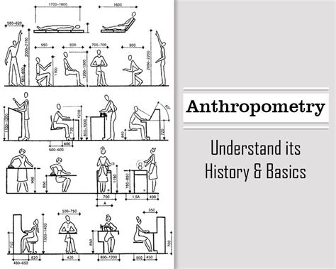 anthropometric factors