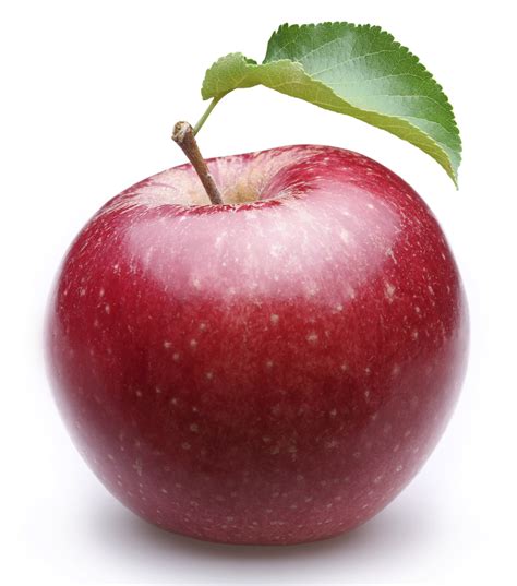 apples are nutritious food