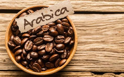 arabica咖啡怎样