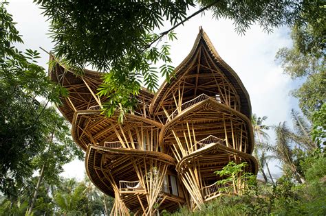 bamboo houses