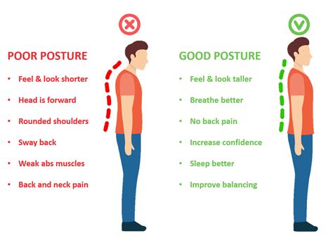 basic posture