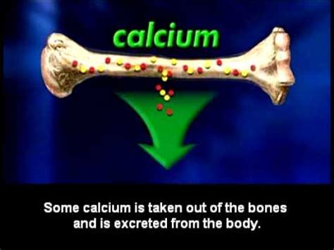 calcium makes our bones solid