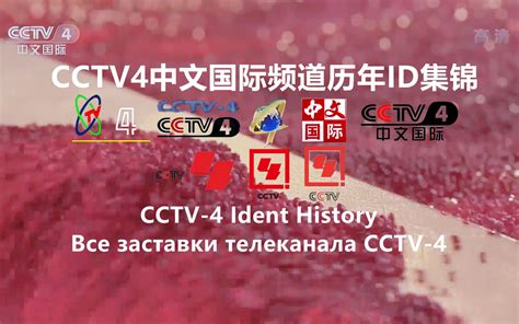 cctv4中文国际播出的连续剧