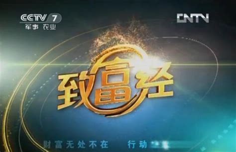 cctv7致富经2012年视频