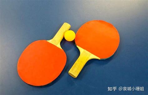 diy乒乓球拍方案推荐