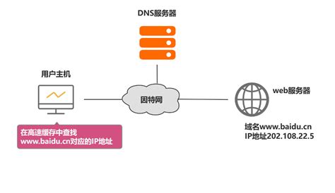 dns服务器的域名设置