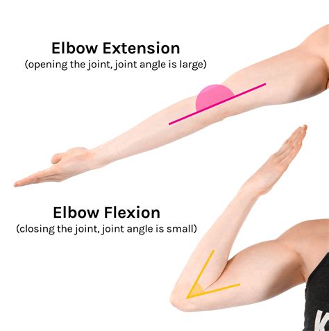 elbow extension