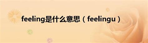 feel是什么意思翻译成中文