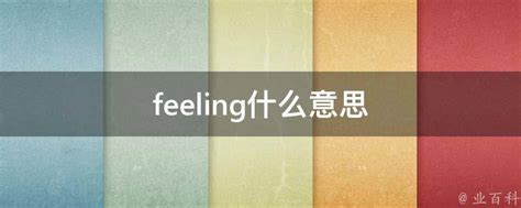 feelings什么意思中文