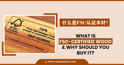 fsc木材认证是什么