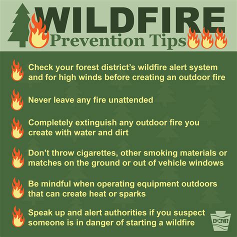 how to prevent wild fires