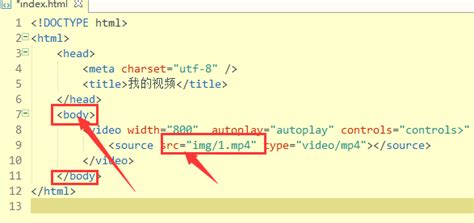 html中加入视频代码