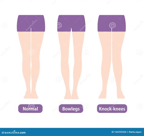 knee和knees的区别