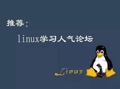 linux学习论坛排名