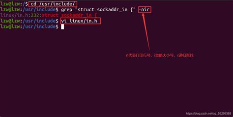 linux无界面可以打开网页吗