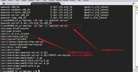 linux查询服务器使用容量