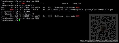 linux 停止一个服务器