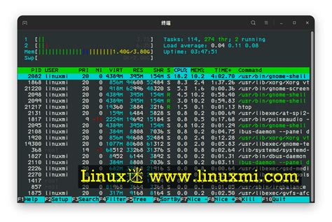 linux 工具搜索