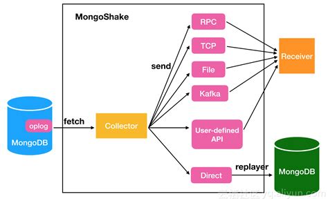 mongodb支持的数据库类型