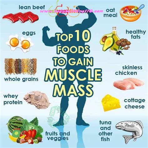 muscle and nutrition