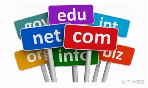 net可以用作企业域名吗