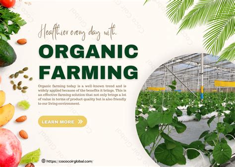 organic farming作文