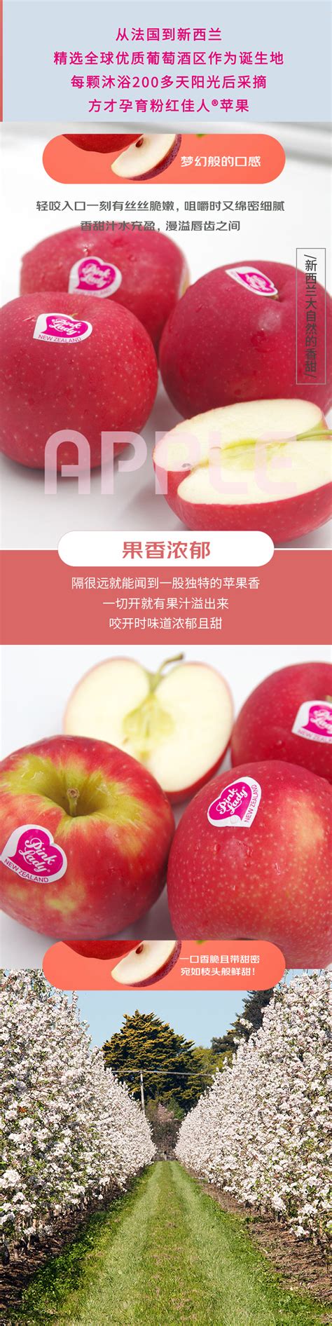 pink lady苹果价格贵吗