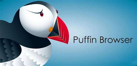 puffin浏览器如何进入