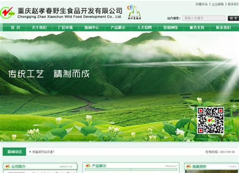 r91w_重庆城口网站优化研究