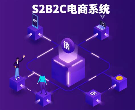 s2b2c电商网站开发