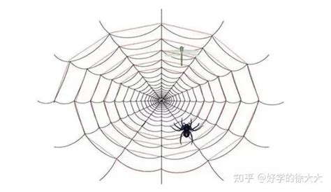 seo蜘蛛劫持教程