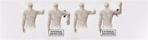 shoulder rotation