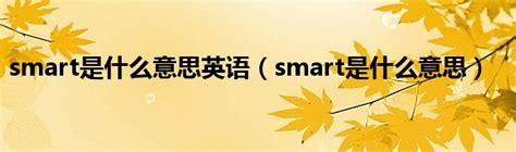 smart是什么意思中文怎么读