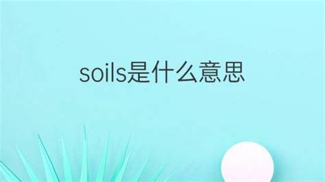 soils是什么意思