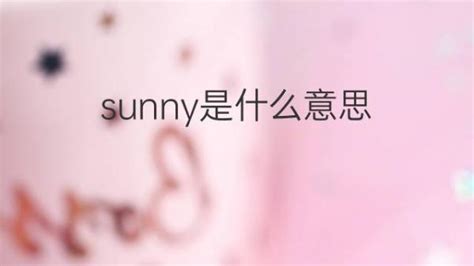 sunny是什么意思中文
