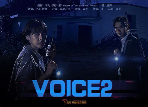 voice2全局