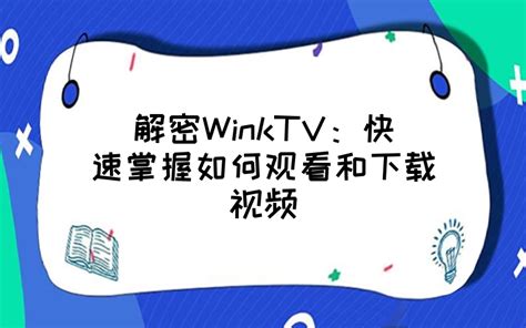 winktv在哪下中文版